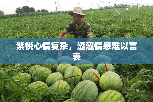 紫悦心情复杂，涩涩情感难以言表