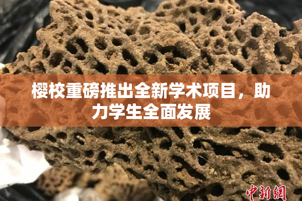樱校重磅推出全新学术项目，助力学生全面发展