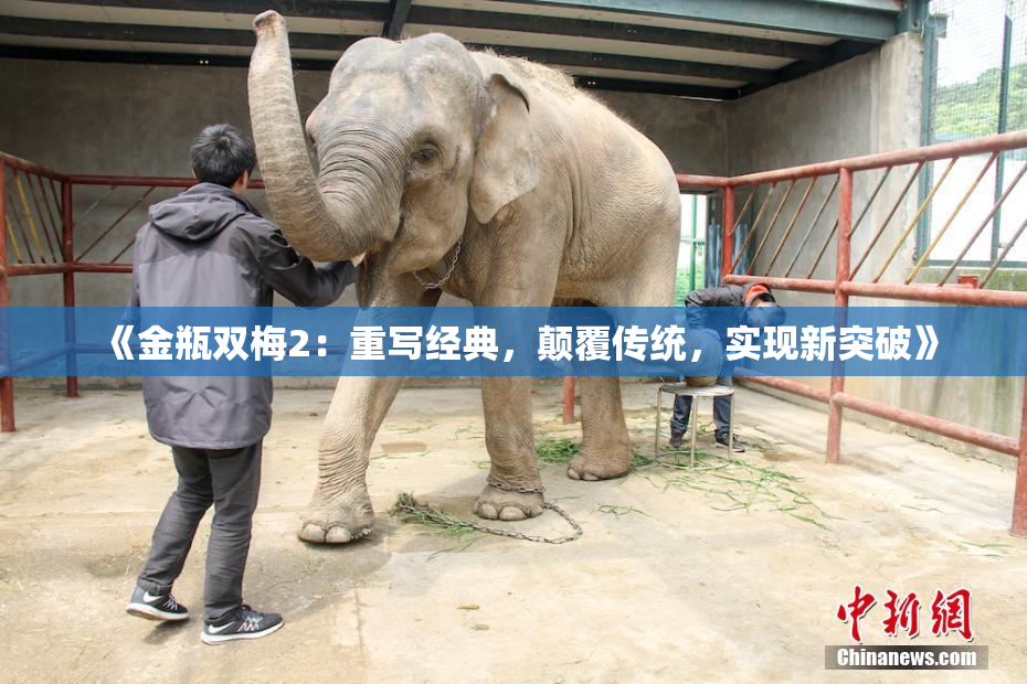 《金瓶双梅2：重写经典，颠覆传统，实现新突破》