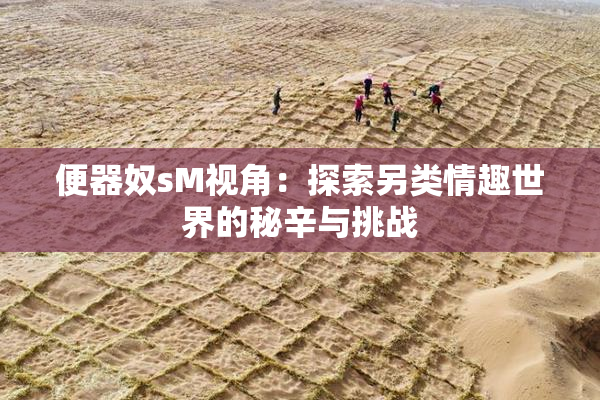 便器奴sM视角：探索另类情趣世界的秘辛与挑战
