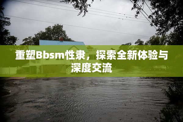 重塑Bbsm性隶，探索全新体验与深度交流