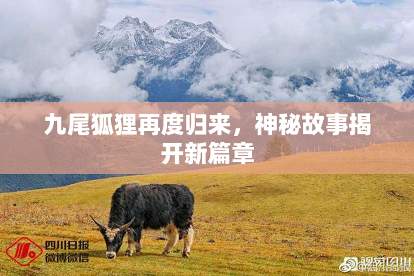 九尾狐狸再度归来，神秘故事揭开新篇章