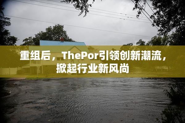 重组后，ThePor引领创新潮流，掀起行业新风尚