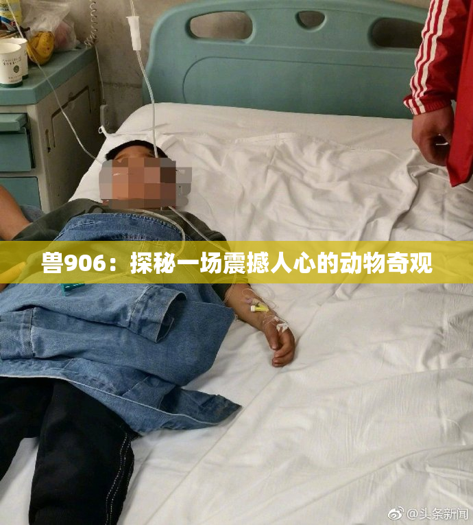 兽906：探秘一场震撼人心的动物奇观