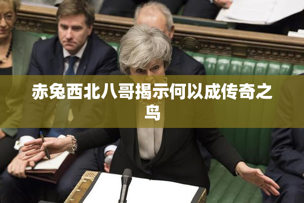 赤兔西北八哥揭示何以成传奇之鸟
