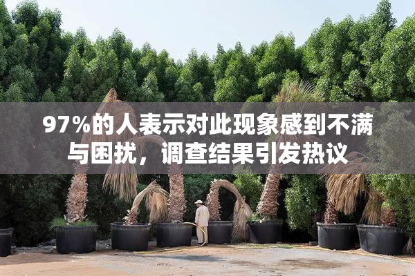 97%的人表示对此现象感到不满与困扰，调查结果引发热议