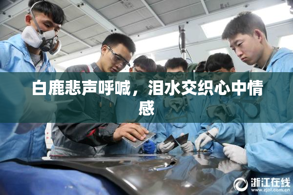 白鹿悲声呼喊，泪水交织心中情感