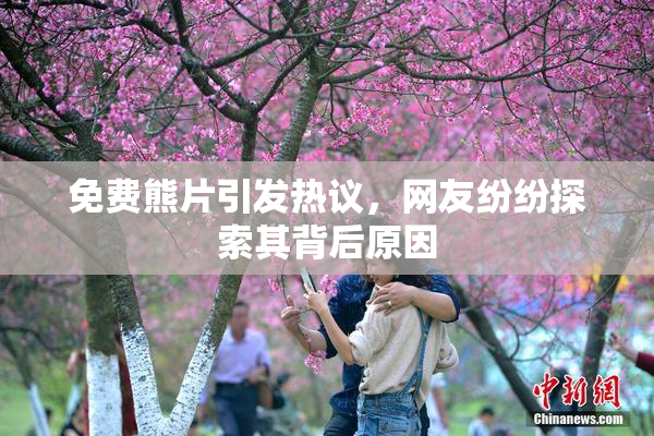 免费熊片引发热议，网友纷纷探索其背后原因