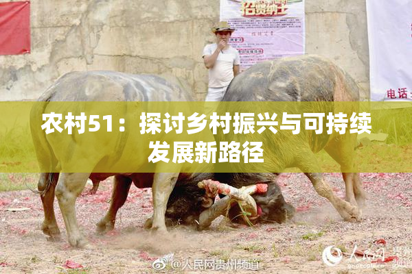 农村51：探讨乡村振兴与可持续发展新路径