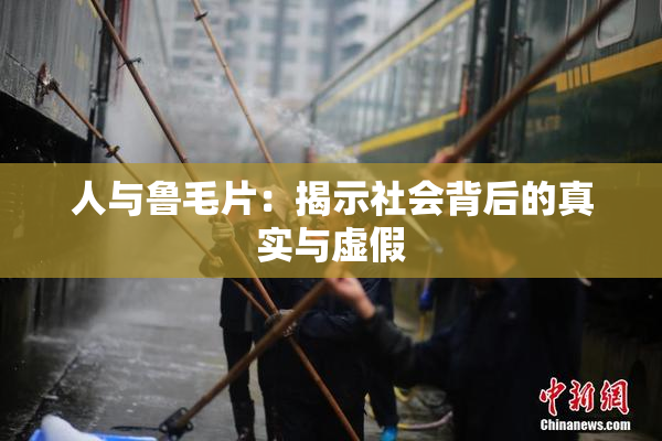 人与鲁毛片：揭示社会背后的真实与虚假