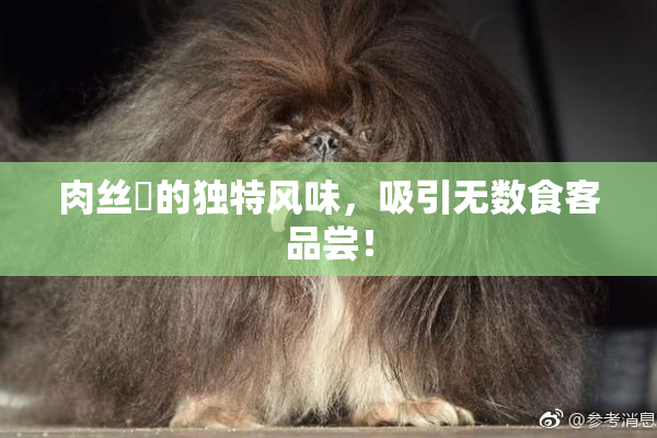 肉丝祙的独特风味，吸引无数食客品尝！