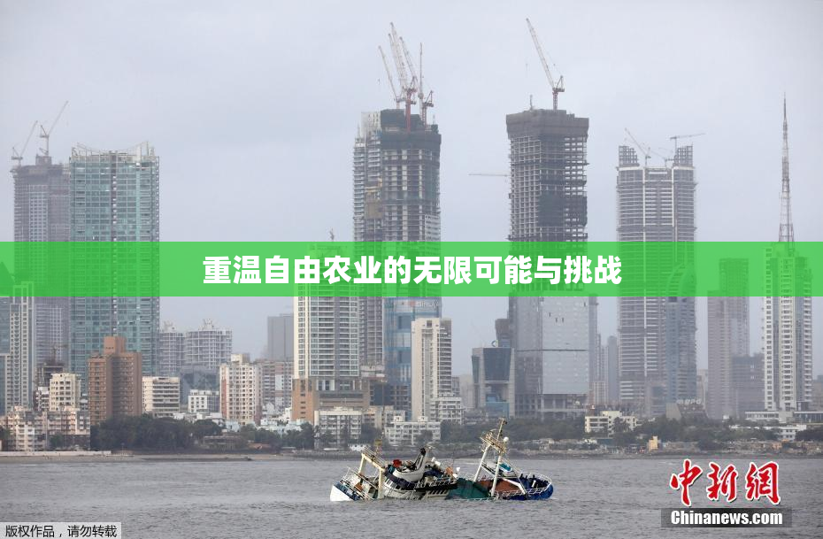 重温自由农业的无限可能与挑战