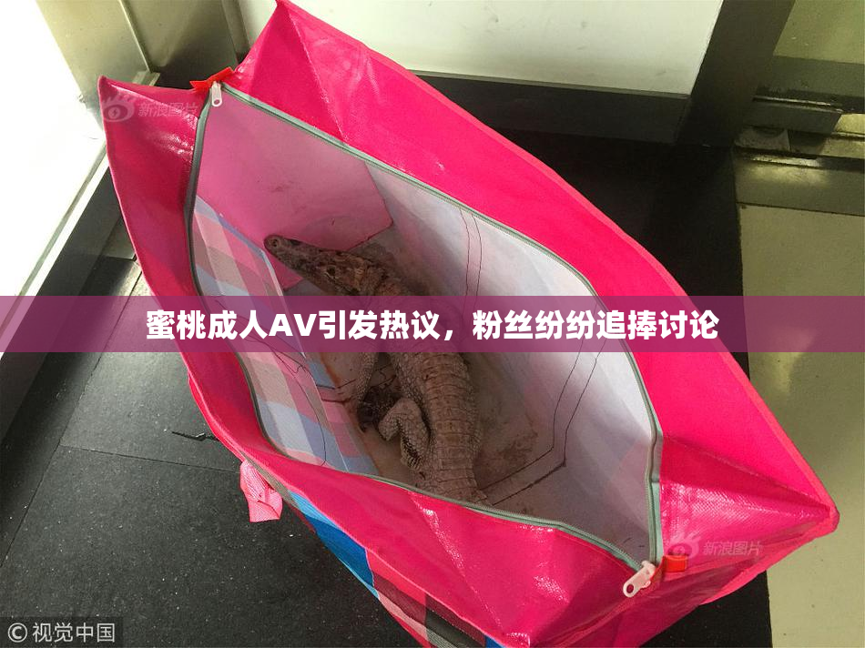 蜜桃成人AV引发热议，粉丝纷纷追捧讨论