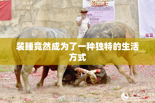 装睡竟然成为了一种独特的生活方式