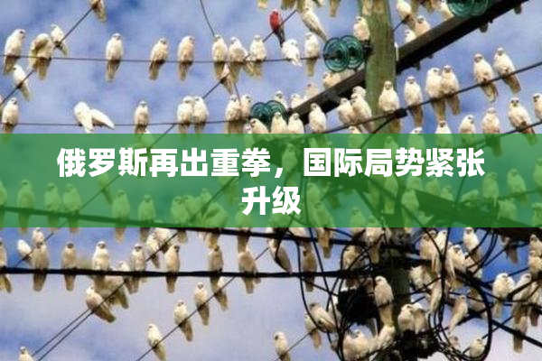 俄罗斯再出重拳，国际局势紧张升级