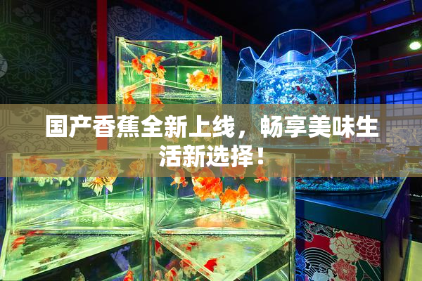 国产香蕉全新上线，畅享美味生活新选择！