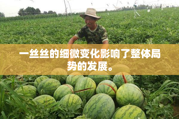 一丝丝的细微变化影响了整体局势的发展。