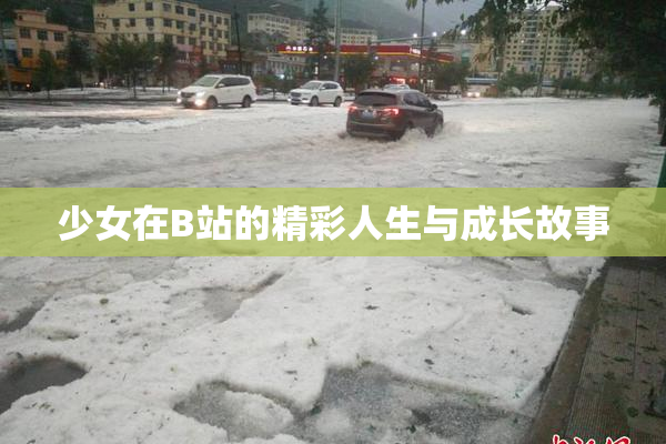 少女在B站的精彩人生与成长故事