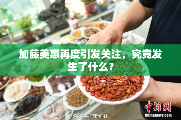 加藤美惠再度引发关注，究竟发生了什么？