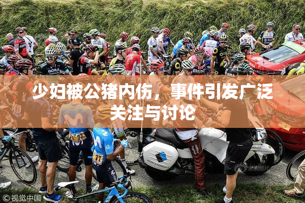 少妇被公猪内伤，事件引发广泛关注与讨论