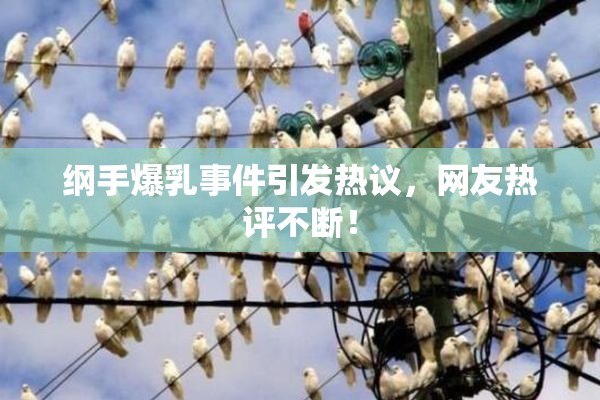 纲手爆乳事件引发热议，网友热评不断！