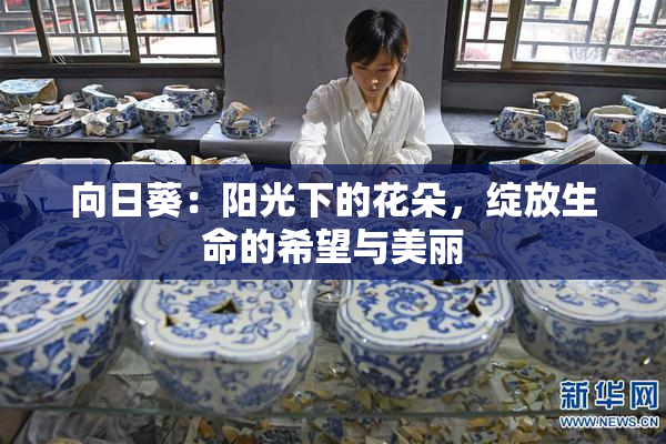 向日葵：阳光下的花朵，绽放生命的希望与美丽