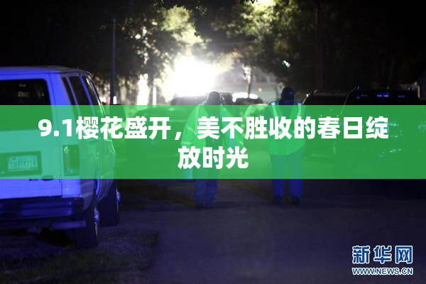 9.1樱花盛开，美不胜收的春日绽放时光