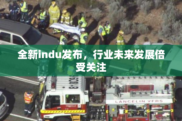 全新indu发布，行业未来发展倍受关注