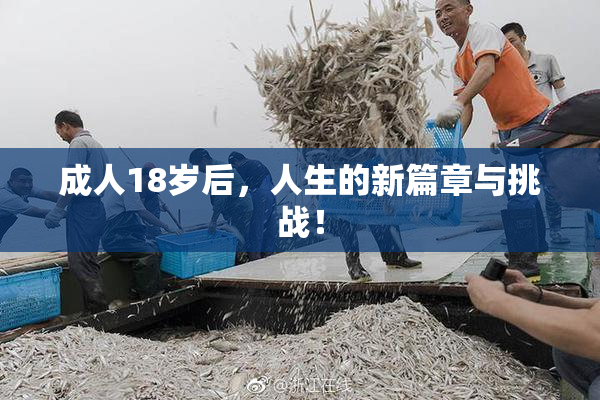 成人18岁后，人生的新篇章与挑战！