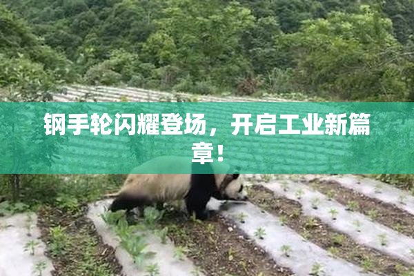 钢手轮闪耀登场，开启工业新篇章！