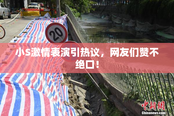 小S激情表演引热议，网友们赞不绝口！