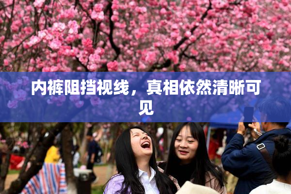 内裤阻挡视线，真相依然清晰可见
