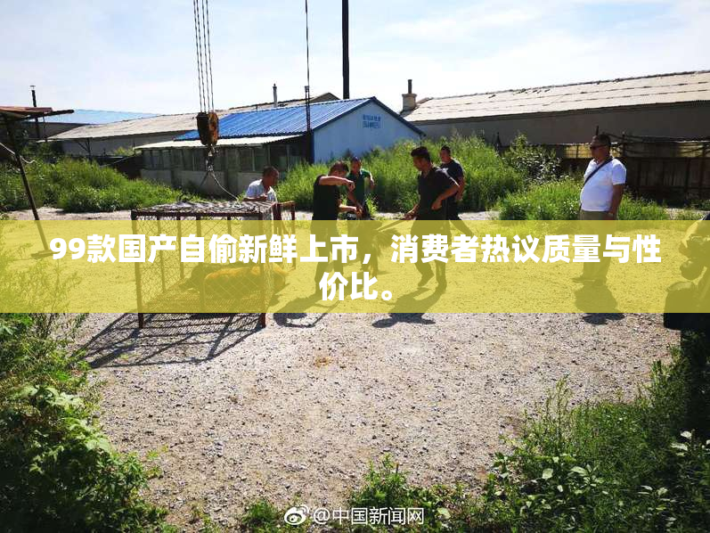 99款国产自偷新鲜上市，消费者热议质量与性价比。