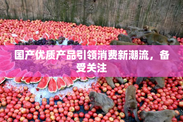 国产优质产品引领消费新潮流，备受关注