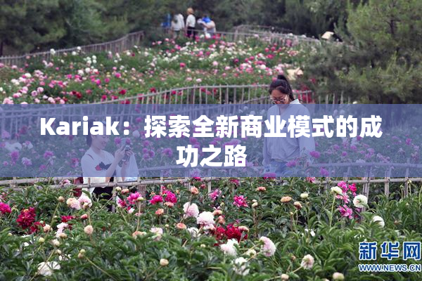 Kariak：探索全新商业模式的成功之路