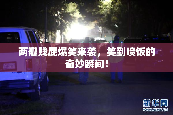 两瓣贱屁爆笑来袭，笑到喷饭的奇妙瞬间！