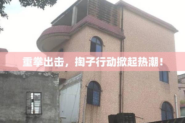 重拳出击，掏子行动掀起热潮！