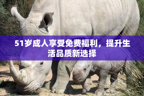 51岁成人享受免费福利，提升生活品质新选择