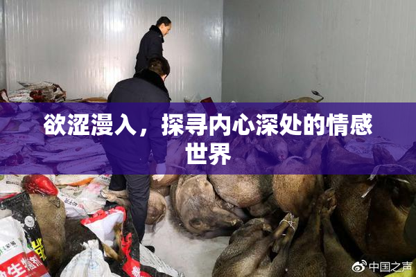 欲涩漫入，探寻内心深处的情感世界