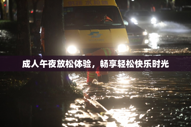 成人午夜放松体验，畅享轻松快乐时光