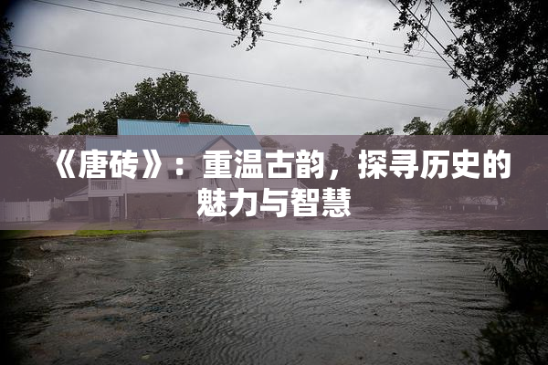 《唐砖》：重温古韵，探寻历史的魅力与智慧