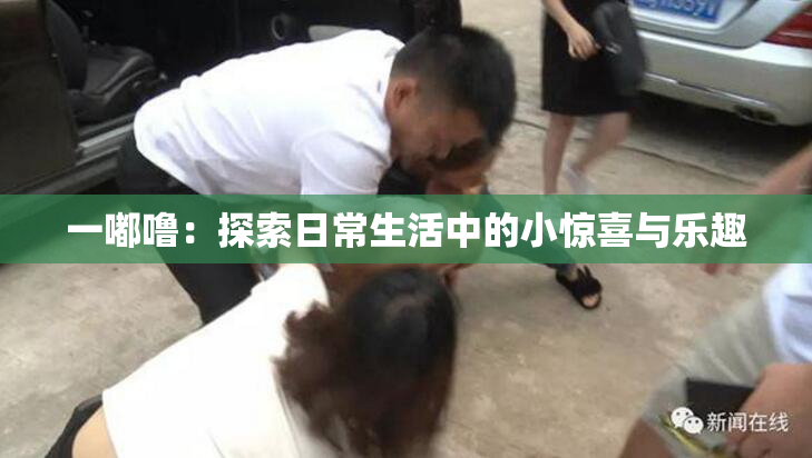 一嘟噜：探索日常生活中的小惊喜与乐趣