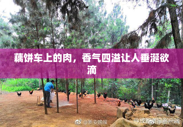 藕饼车上的肉，香气四溢让人垂涎欲滴