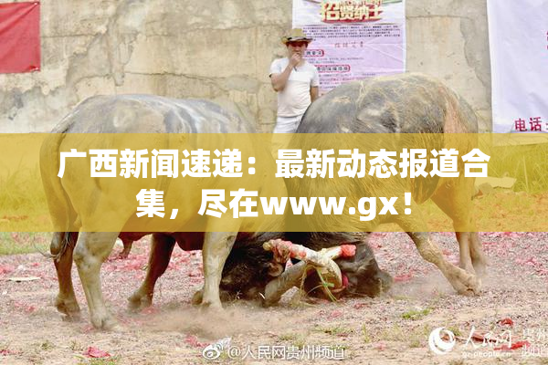 广西新闻速递：最新动态报道合集，尽在www.gx！