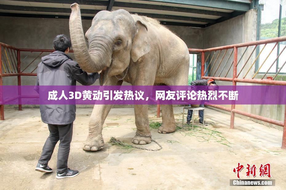 成人3D黄动引发热议，网友评论热烈不断