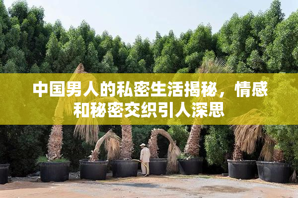 中国男人的私密生活揭秘，情感和秘密交织引人深思