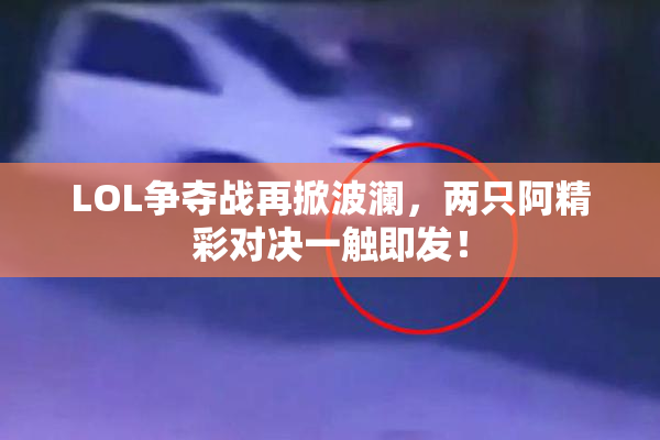 LOL争夺战再掀波澜，两只阿精彩对决一触即发！
