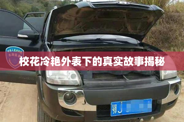 校花冷艳外表下的真实故事揭秘