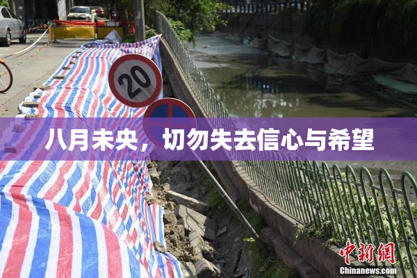 八月未央，切勿失去信心与希望
