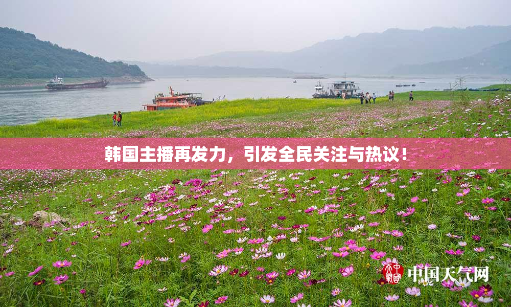 韩国主播再发力，引发全民关注与热议！